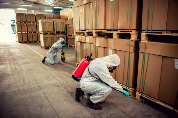 Pest Prevention Services in Bodfish, CA