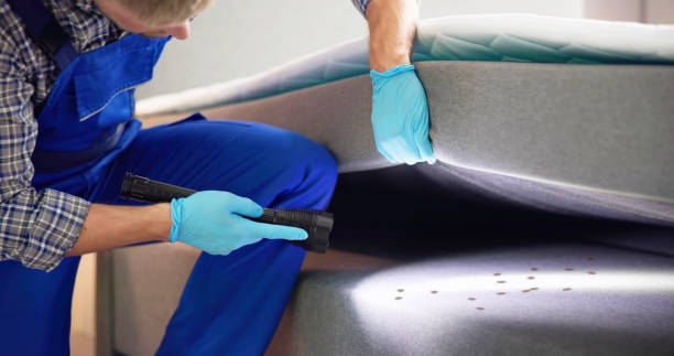 Best Commercial Pest Control Services  in Bodfish, CA