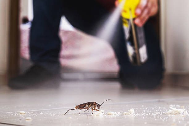 Best Wildlife Control Services  in Bodfish, CA